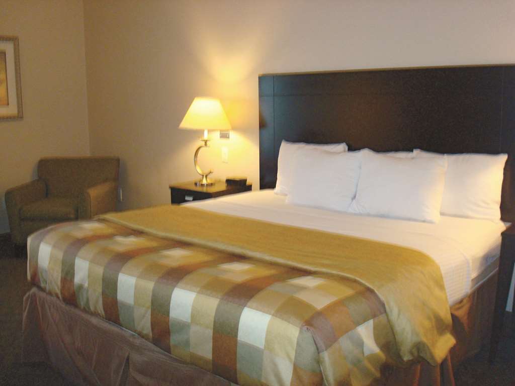 La Quinta Inn & Suites By Wyndham Pharr Rgv Medical Center Cameră foto